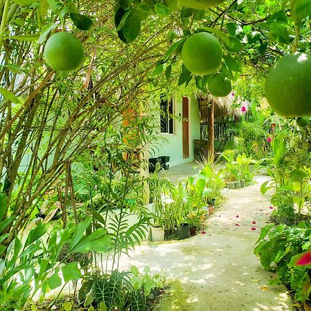 Las Palmas Bacalar Εξωτερικό φωτογραφία