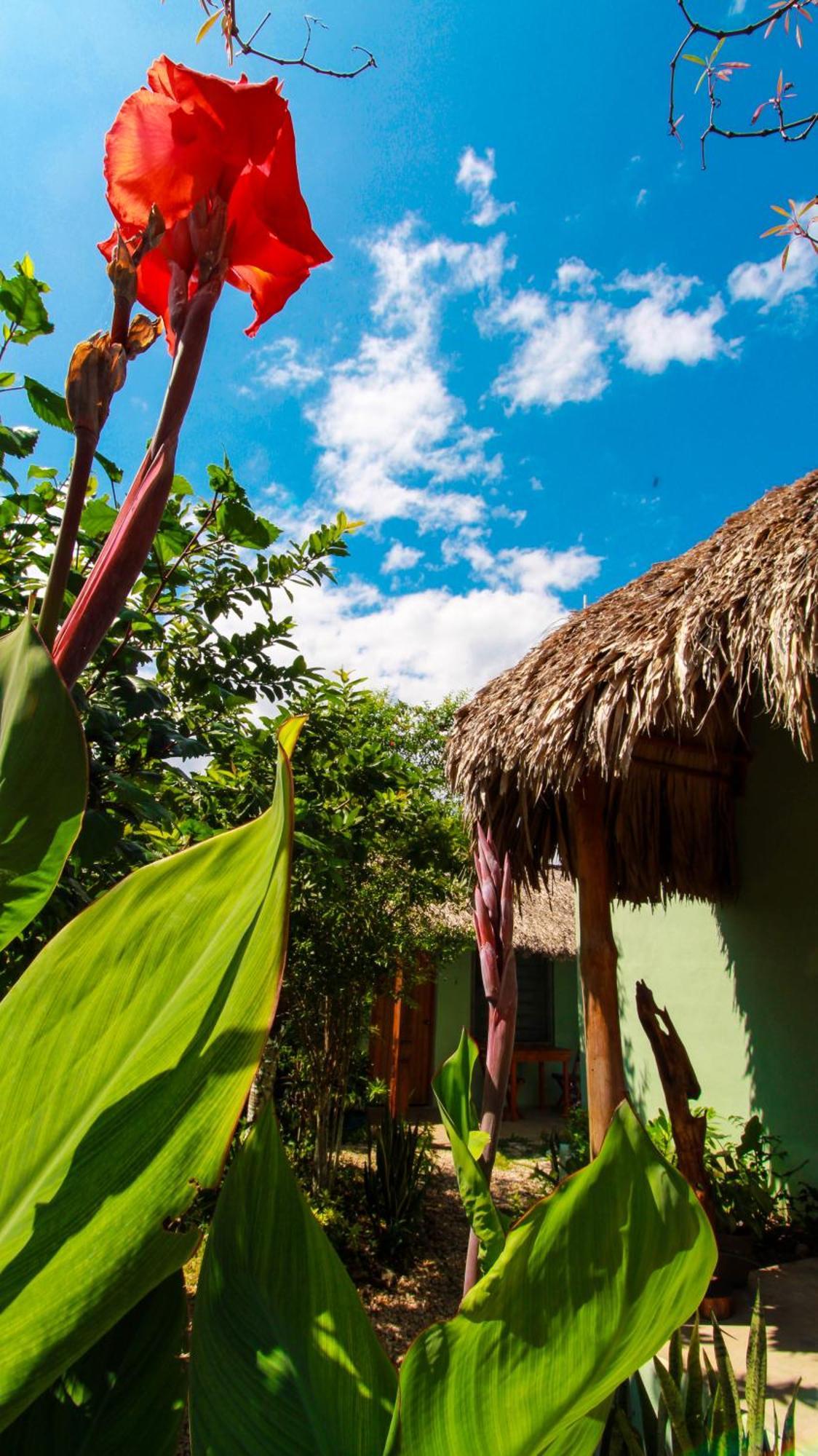 Las Palmas Bacalar Εξωτερικό φωτογραφία